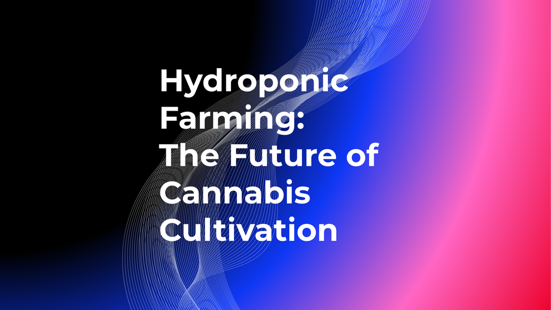Hydroponic Farming: The Future of Cannabis Cultivation