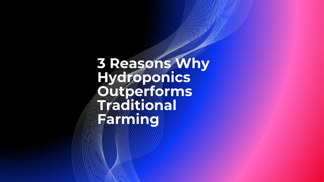 3 Reasons Why Hydroponics Outperforms Traditional Farming