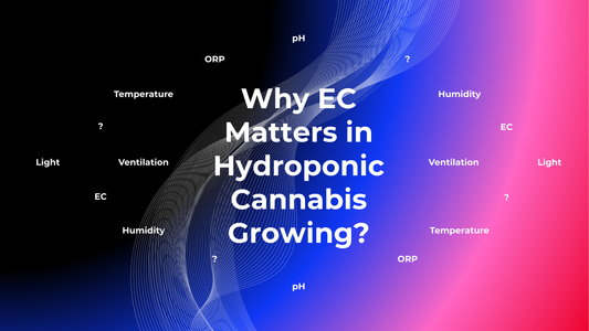 Why EC Matters in Hydroponic Cannabis Growing?