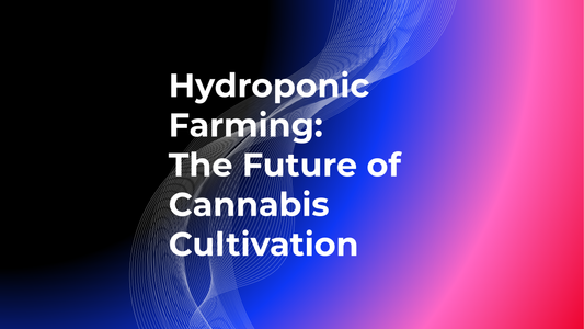 Hydroponic Farming: The Future of Cannabis Cultivation