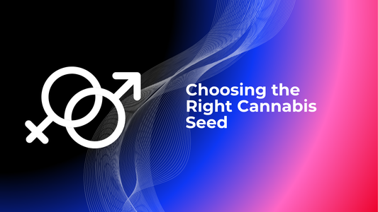 Choosing the Right Cannabis Seed: A Guide to Female, Male, Auto, and Photoperiod Types