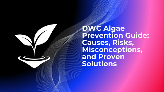 DWC Algae Prevention Guide: Causes, Risks, Misconceptions, and Proven Solutions