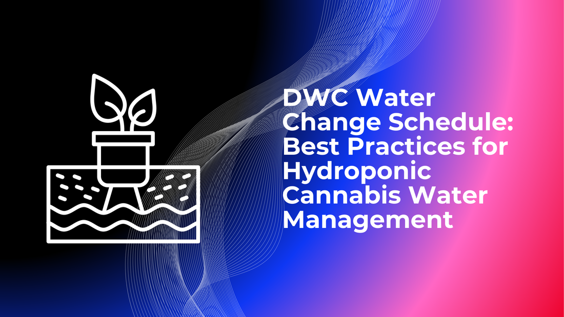 DWC Water Change Schedule: Best Practices for Hydroponic Cannabis Water Management
