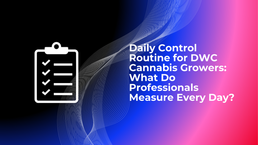 Daily Control Routine for DWC Cannabis Growers: What Do Professionals Measure Every Day?
