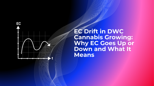 EC Drift in DWC Cannabis Growing: Why EC Goes Up or Down and What It Means