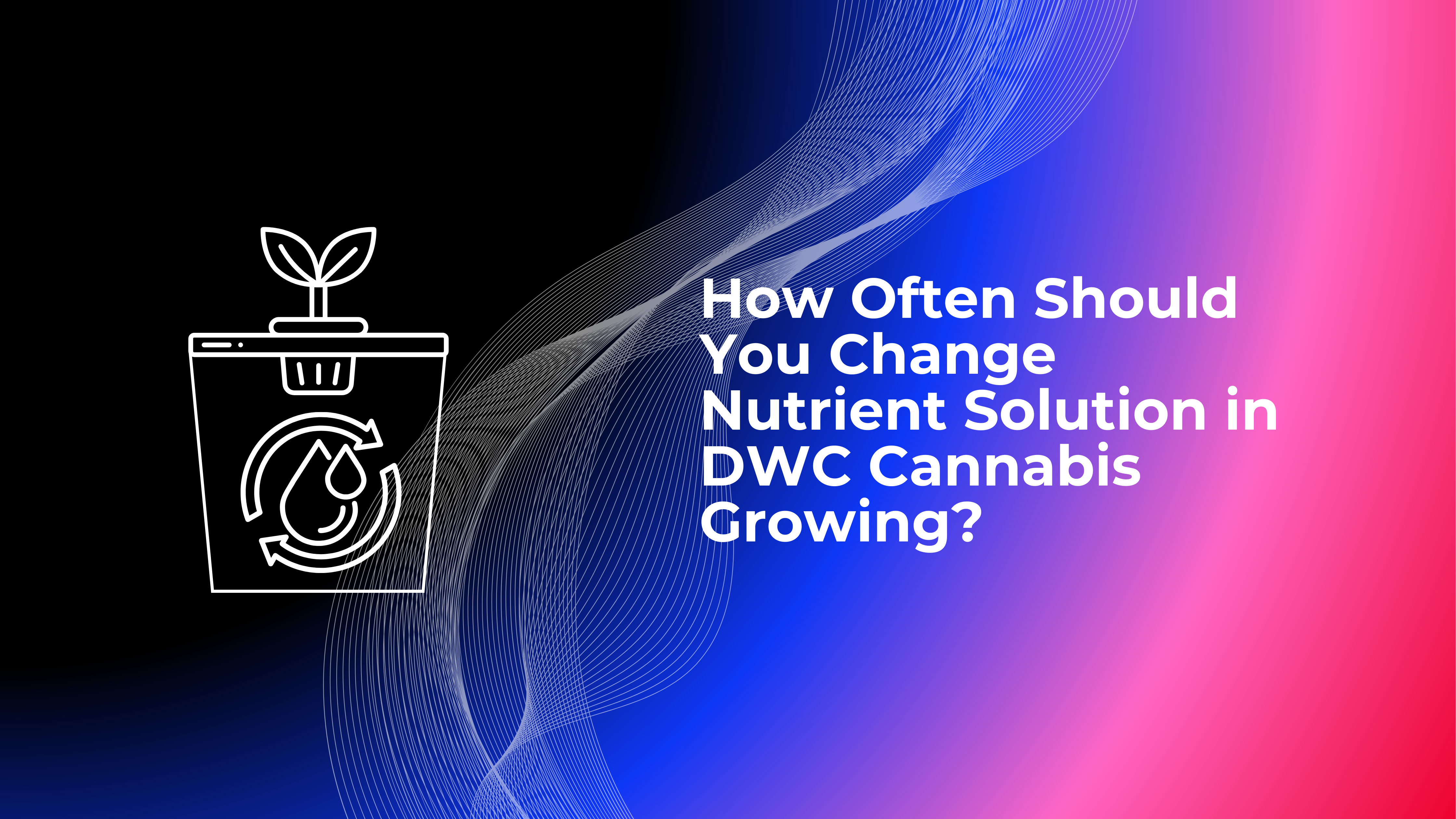 How Often Should You Change Nutrient Solution in DWC Cannabis Growing ...