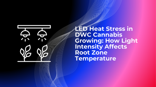 LED Heat Stress in DWC Cannabis Growing: How Light Intensity Affects Root Zone Temperature