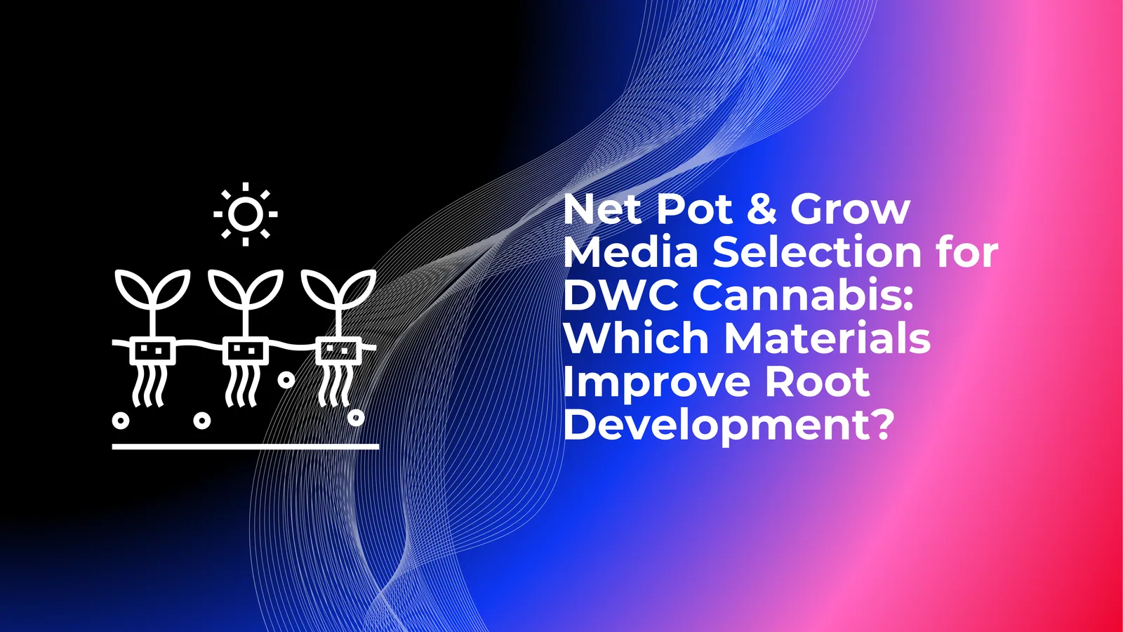 Best Net Pot & Grow Media for DWC Cannabis | Root Development Guide ...