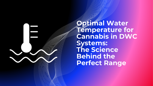 Optimal Water Temperature for Cannabis in DWC Systems: The Science Behind the Perfect Range