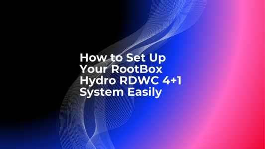 How to Set Up Your RootBox Hydro RDWC 4+1 System Easily