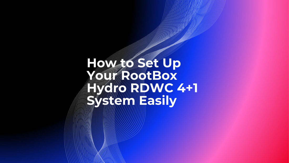 Air Rootbox How to Set Up Your RootBox Hydro RDWC 4+1 System Easily