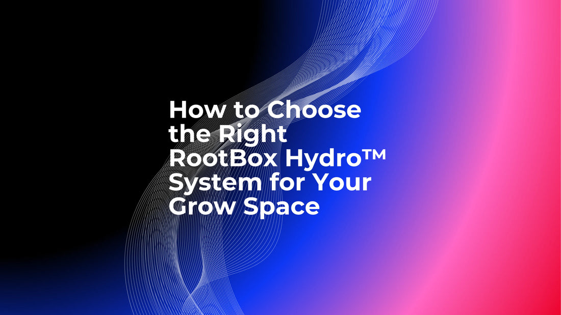 How to Choose the Right RootBox Hydro™ System for Your Grow Space