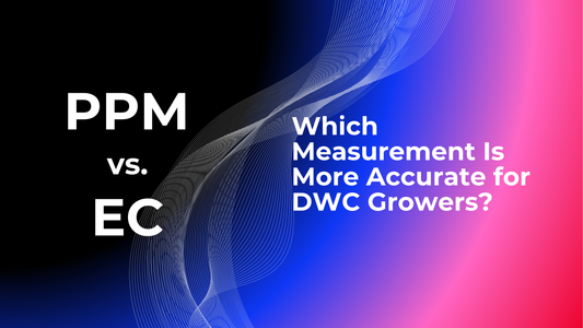 Hydroponic PPM vs. EC: Which Measurement Is More Accurate for DWC Growers?
