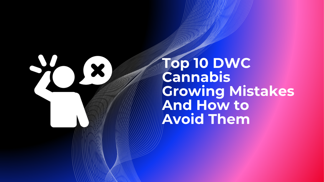 Top 10 DWC Cannabis Growing Mistakes And How to Avoid Them