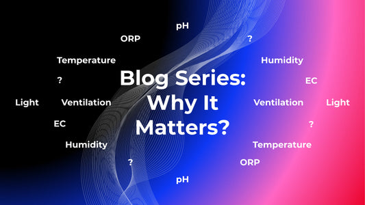 New Blog Series: Why It Matters?