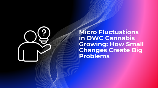 Micro Fluctuations in DWC Cannabis Growing: How Small Changes Create Big Problems