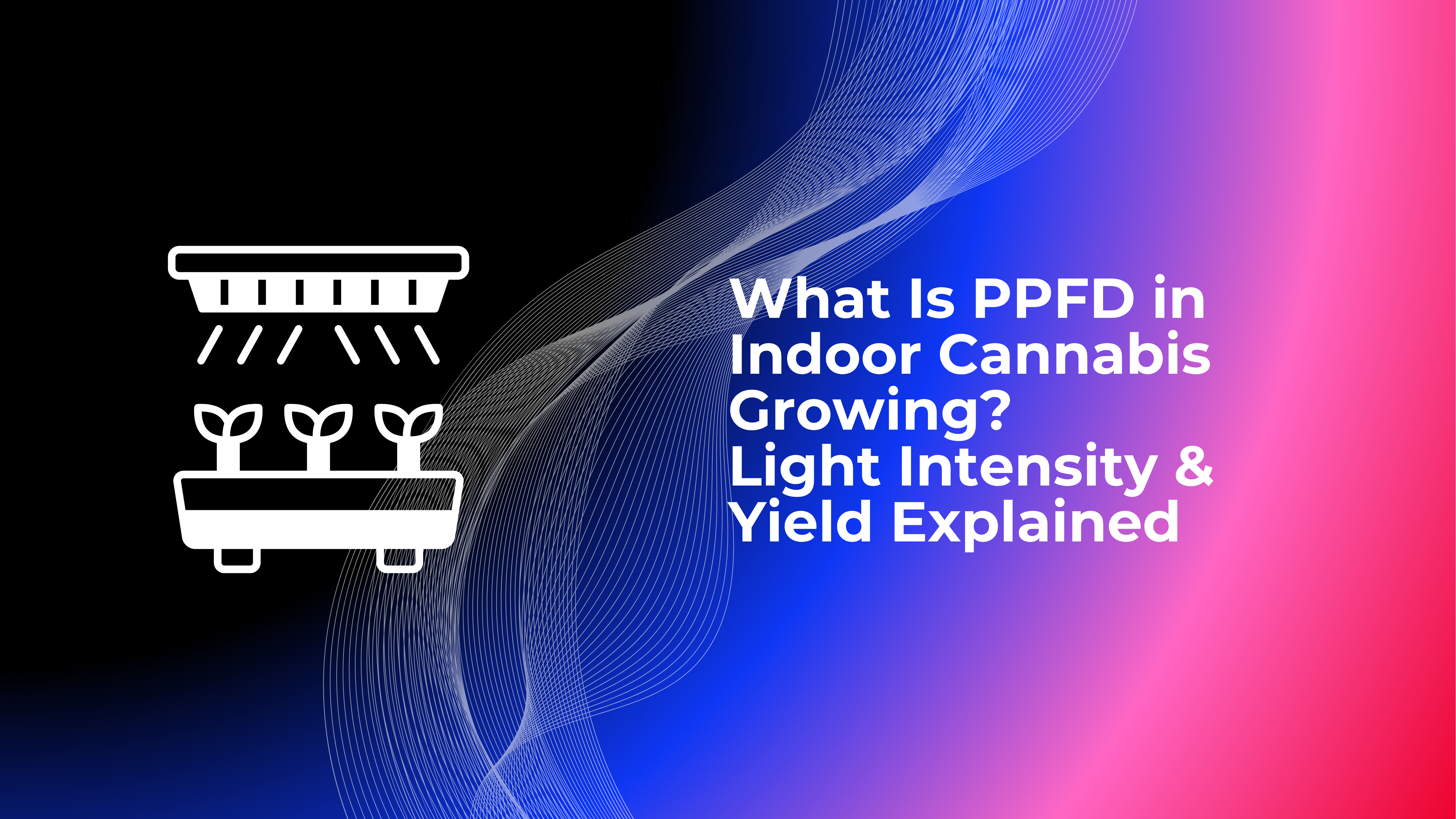 What Is PPFD in Indoor Cannabis Growing? Light Intensity & Yield Explained