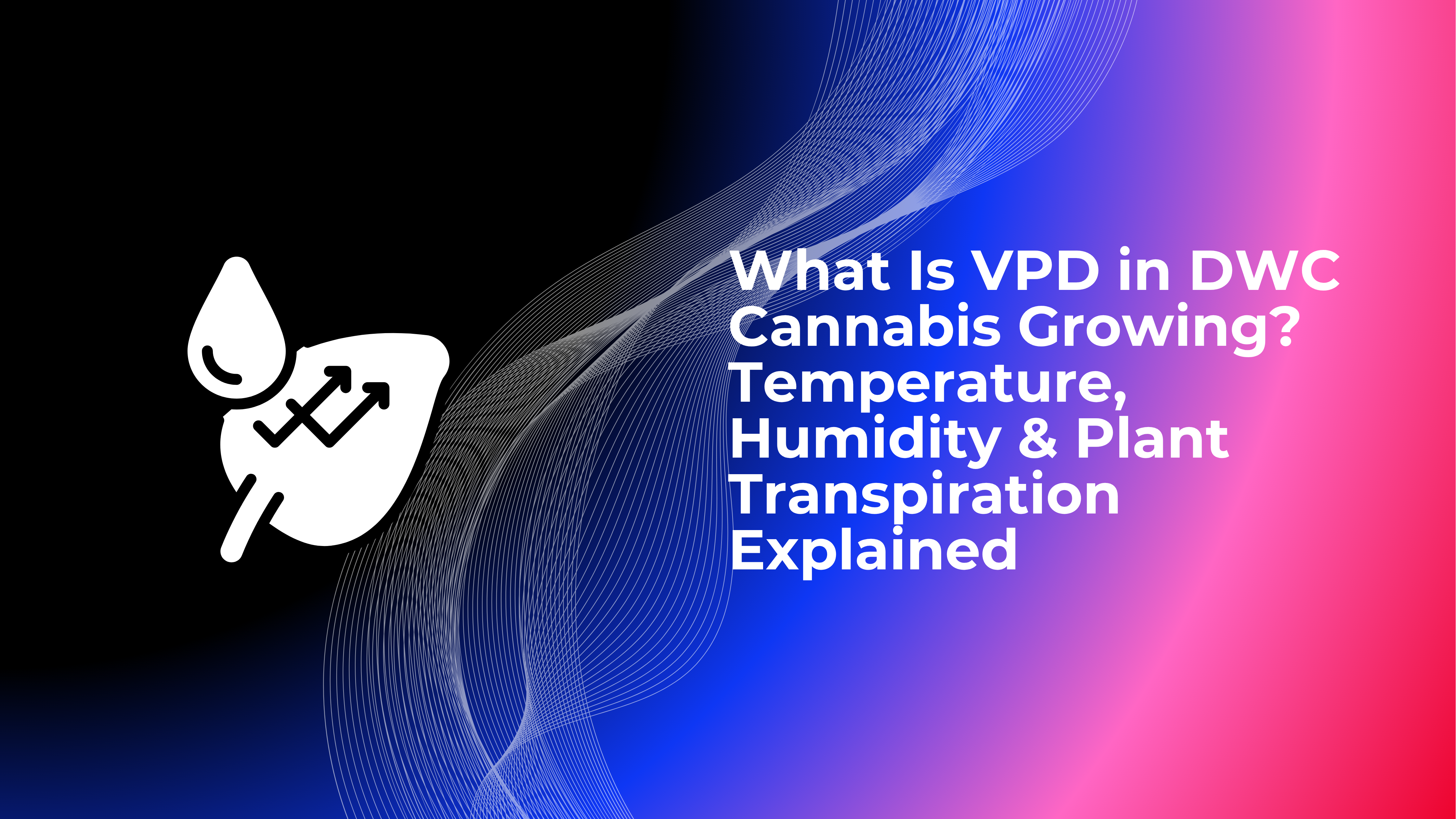 What Is VPD in DWC Cannabis Growing? Temperature, Humidity & Plant Transpiration Explained