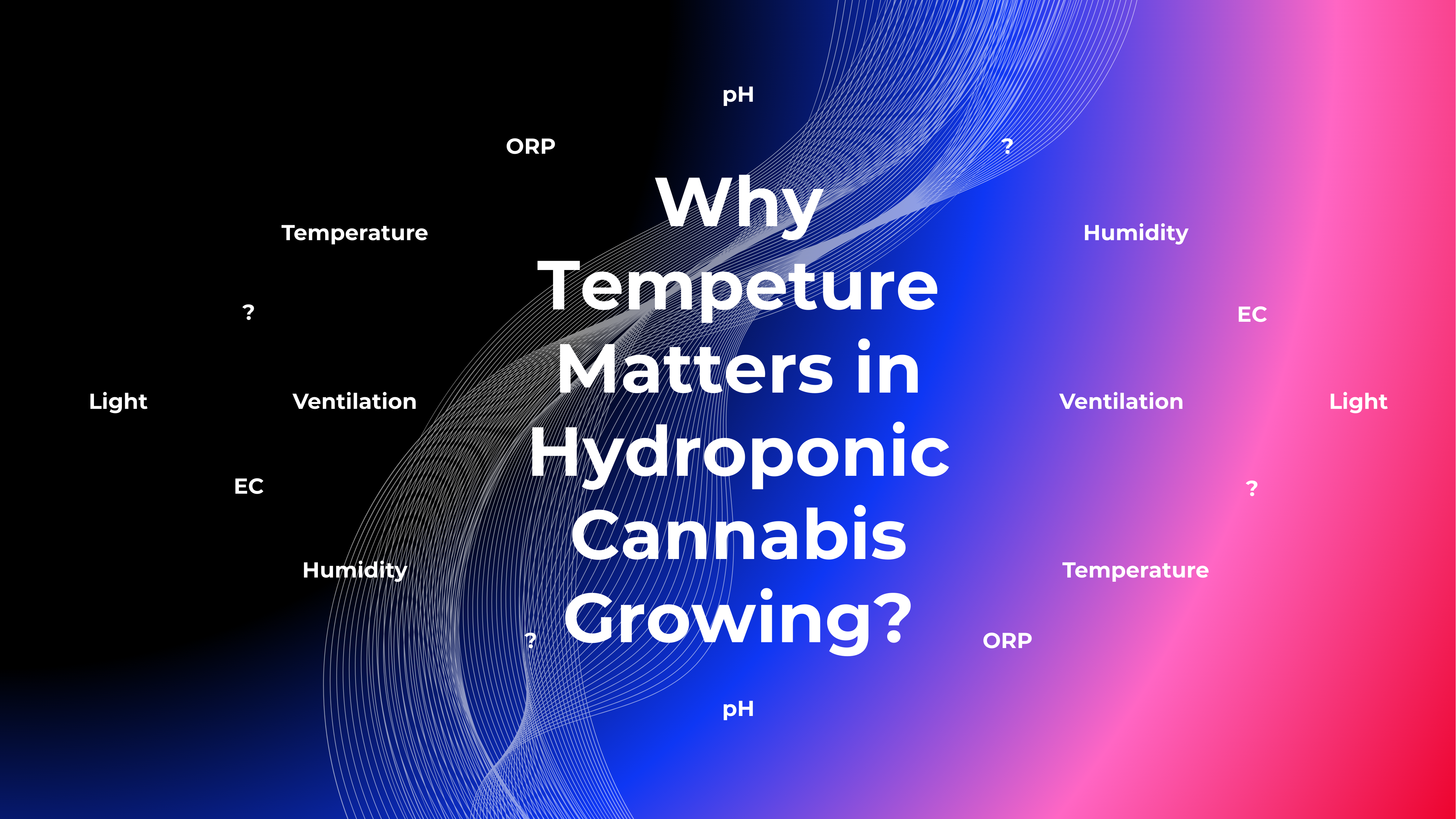 Glass Rootbox Why Temperature Matters in Hydroponic Cannabis Growing? – RootBox Hydro