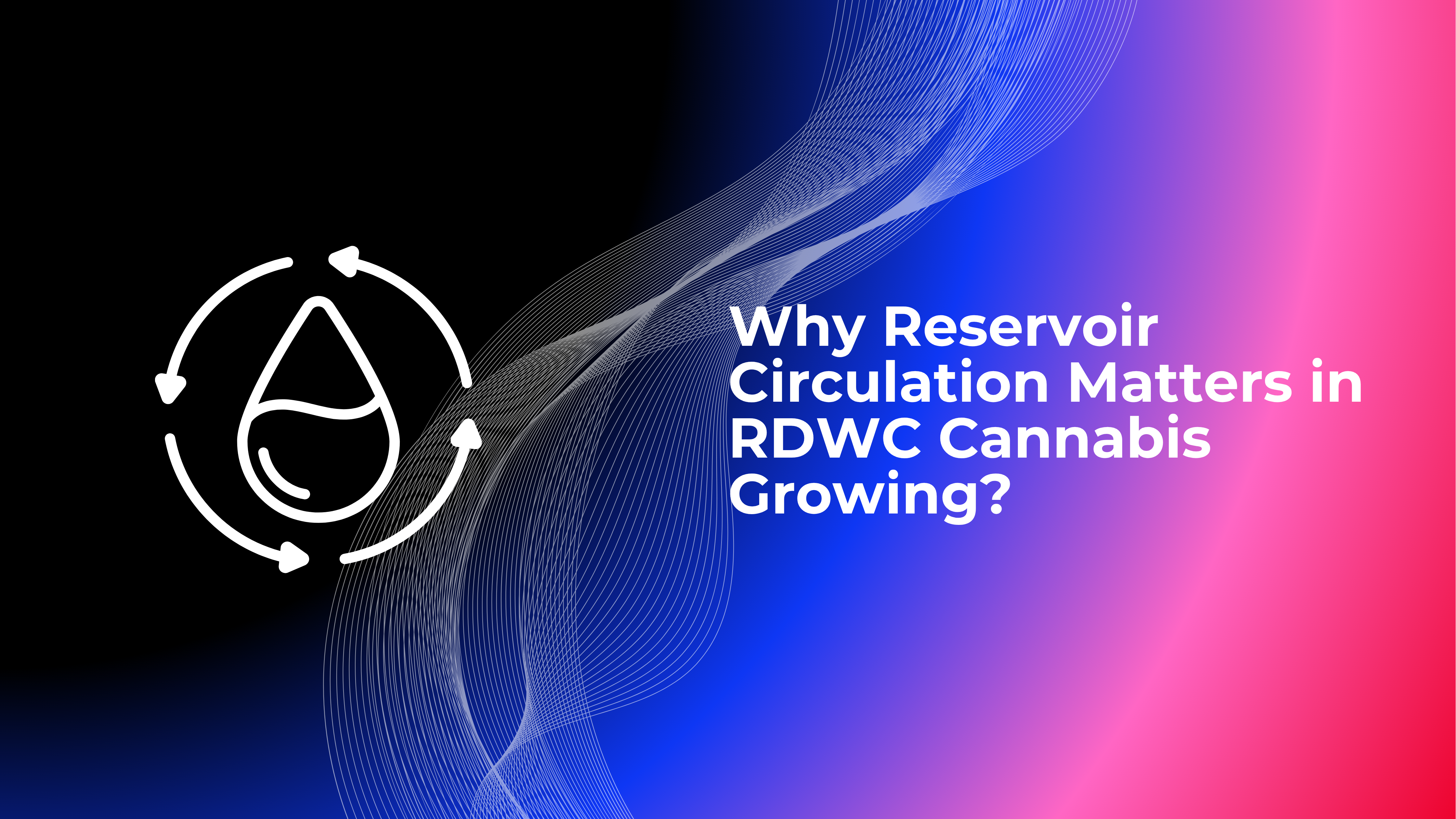 Why Reservoir Circulation Matters in RDWC Cannabis Growing
