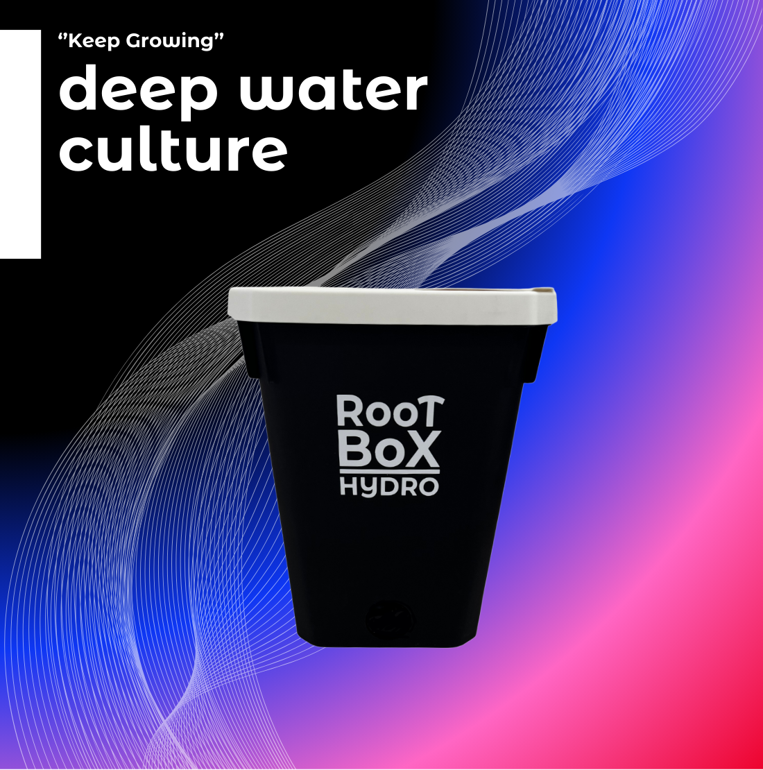 DWC (Deep Water Culture)