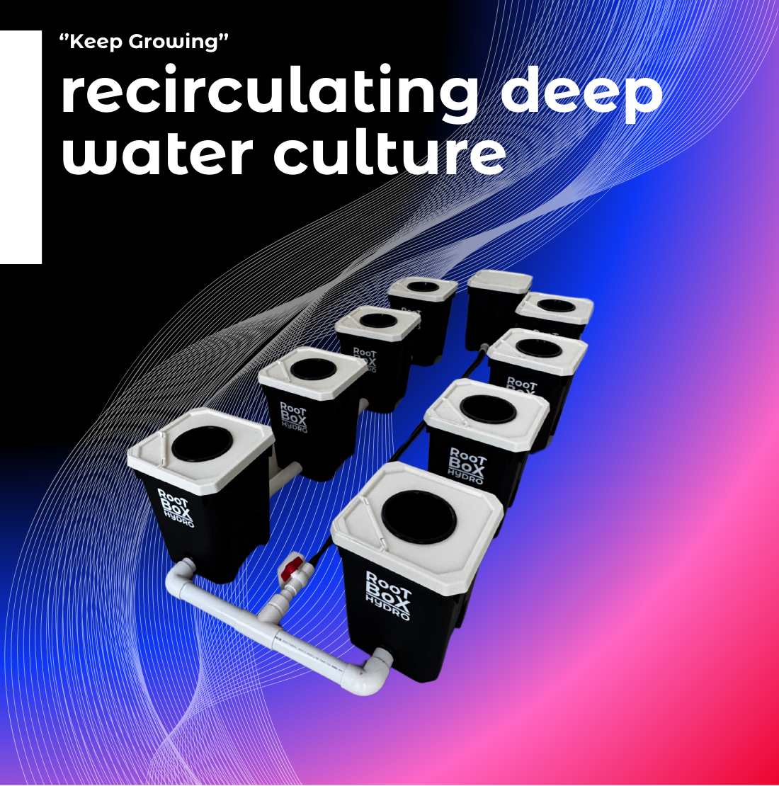 RDWC (Recirculating Deep Water Culture)