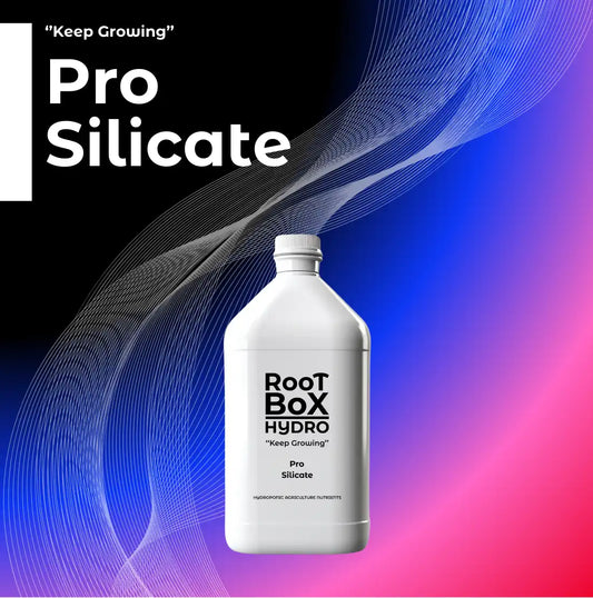 Glass Rootbox All Products - RootBox Hydro