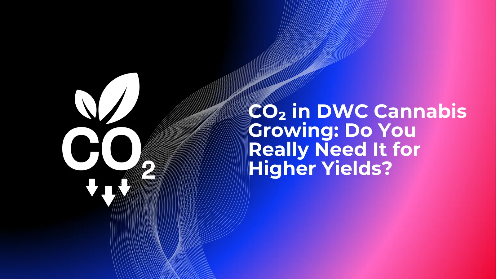 CO₂ ในการปลูกกัญชาแบบ DWC: จำเป็นจริงหรือสำหรับผลผลิตที่สูงขึ้น?