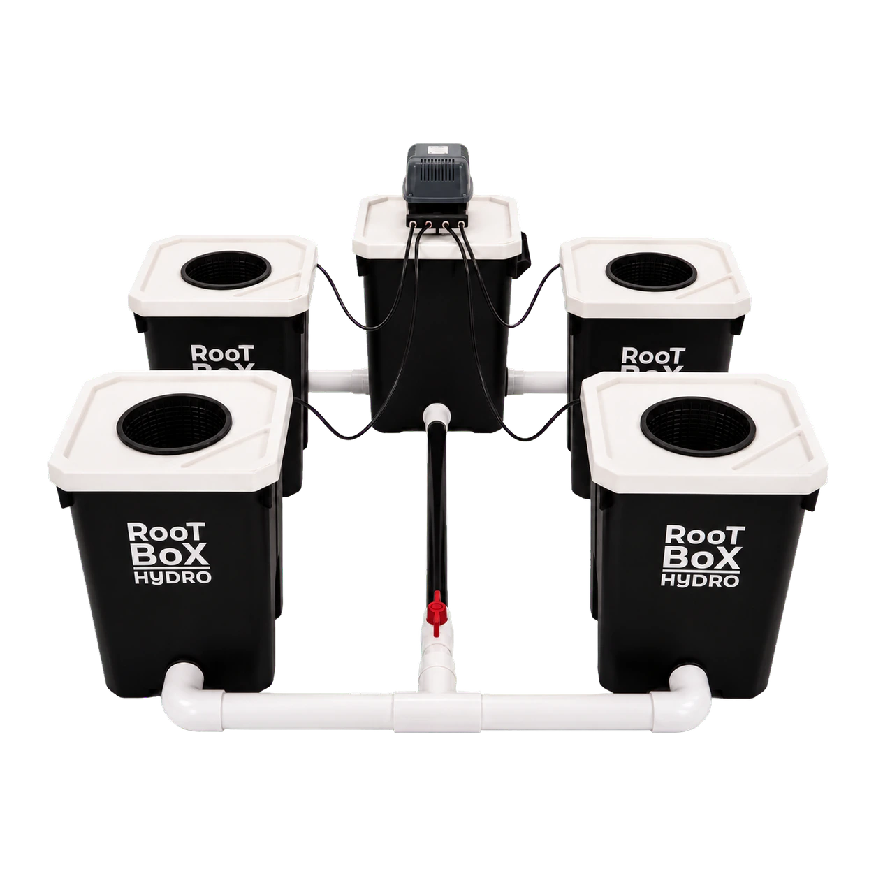 RootBox Hydro RDWC 4+1 system.