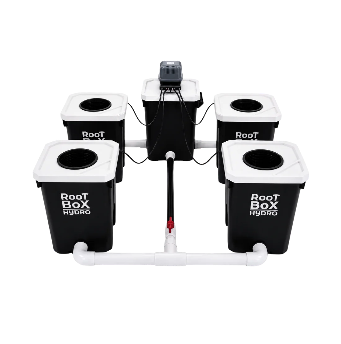 RootBox Hydro RDWC 4+1 system.