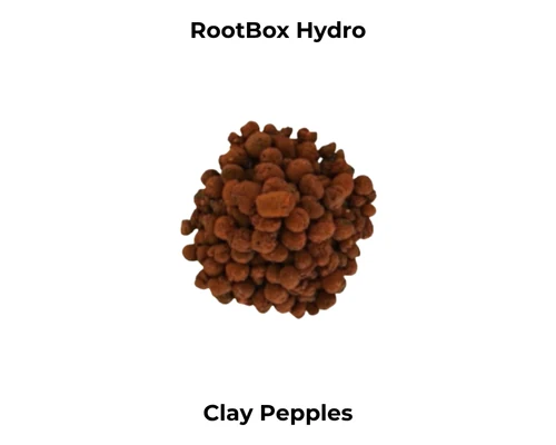 RootBox Hydro clay pebbles.