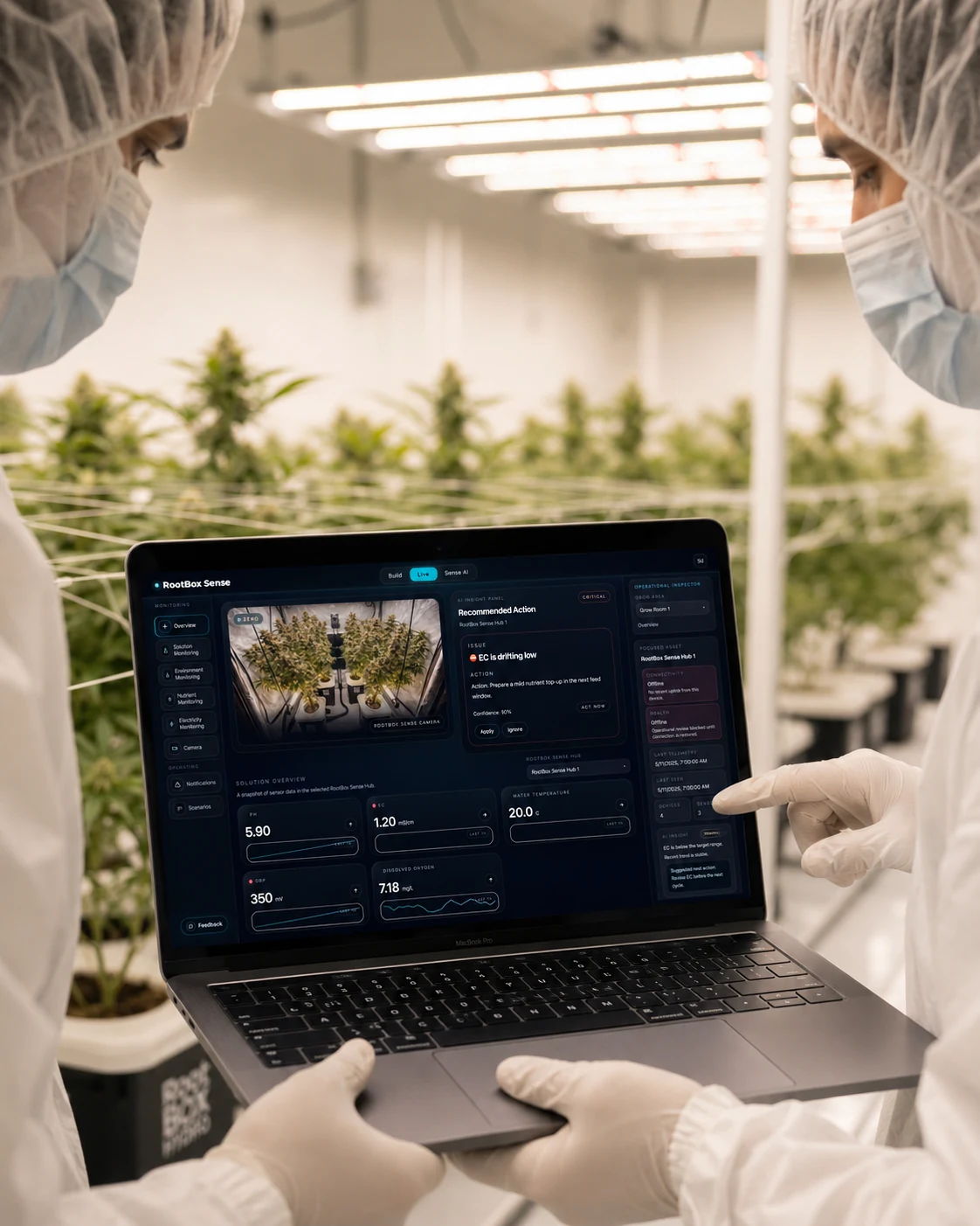 Cultivation technicians using RootBox Sense on a laptop inside a professional grow room.