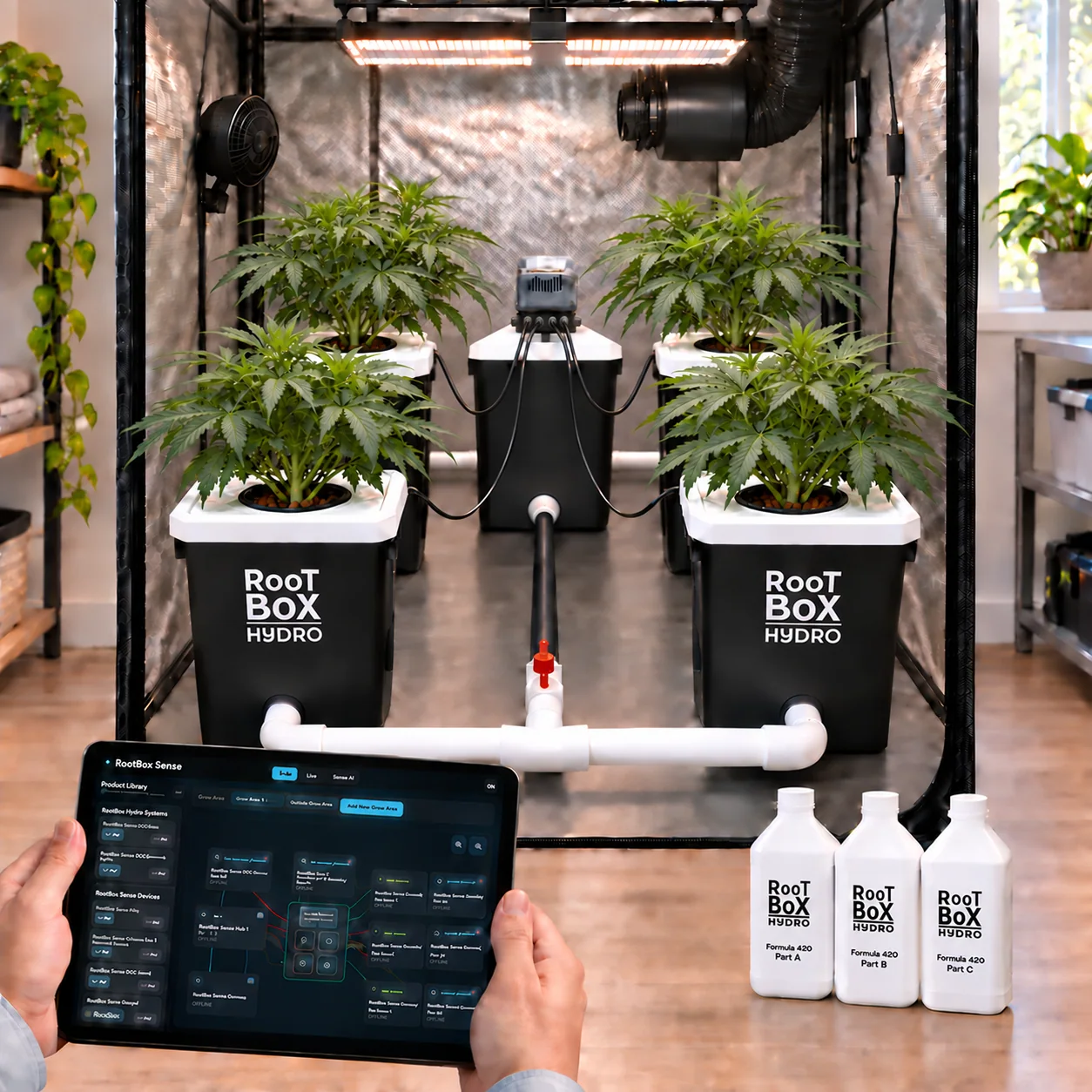 RootBox Hydro RDWC 4+1 system with a supporting RootBox Sense Live dashboard view.